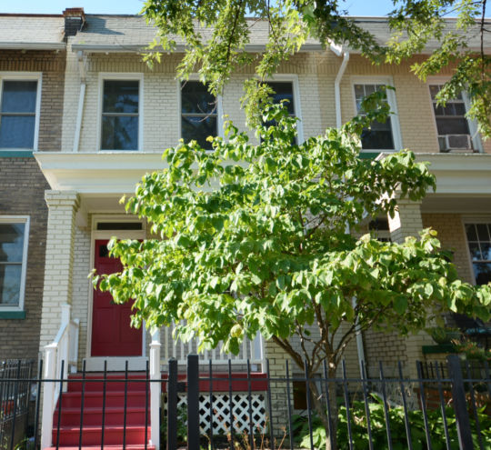 Intern Housing Capitol Hill Front Steps